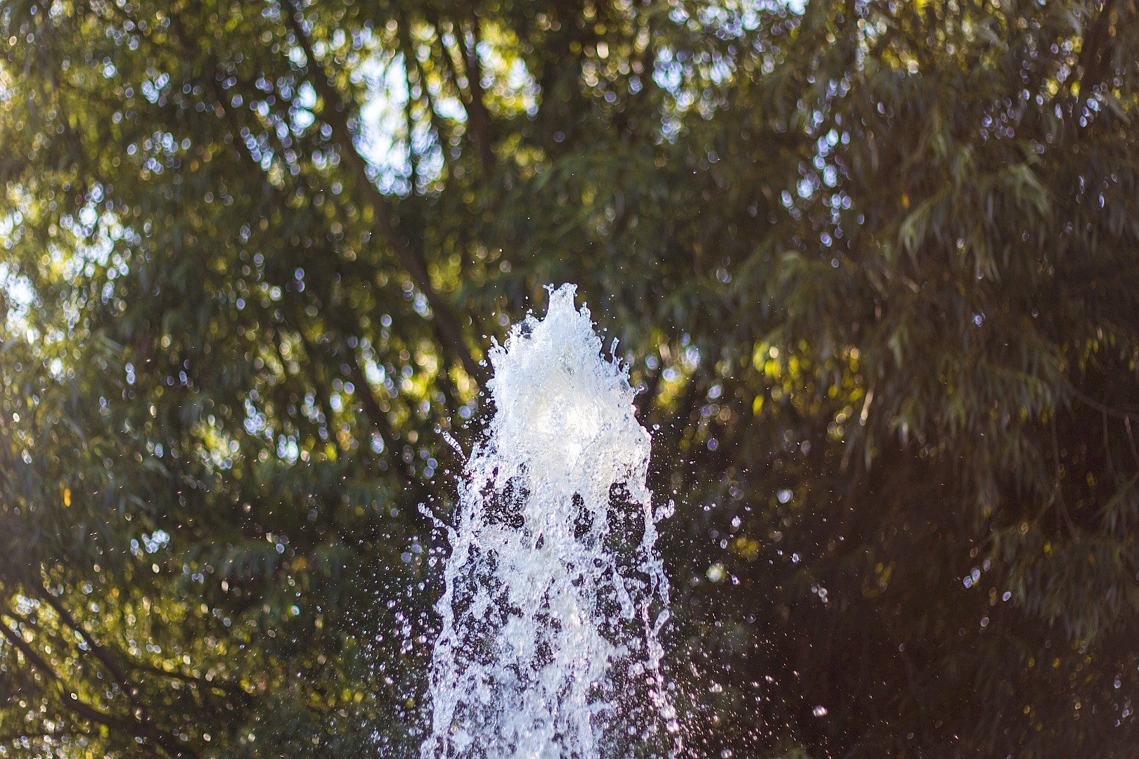 fountain.jpg